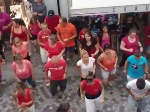 Domaine des Dauphins Bleus, Flashmob St Gilles croix de Vie