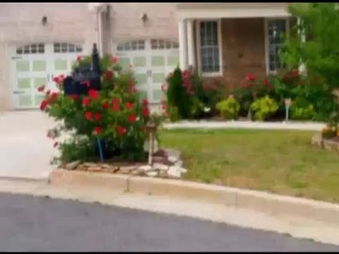 Atlanta Landscape|Back Yard Designs|Atlanta Landscaping Architects