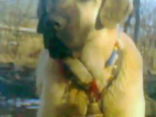 Kurugöllünün aslanları Video, ahmet köpek - Videoizle.co