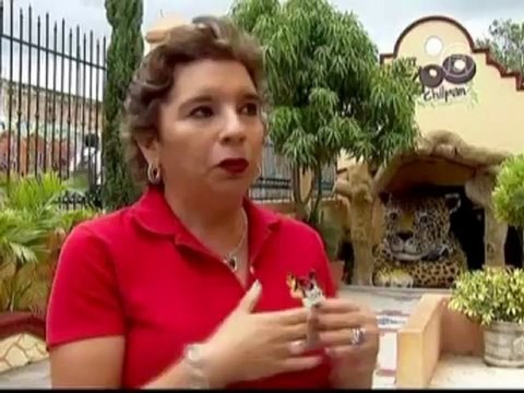 Четверо бенгальских тигрят знакомятся с публикой