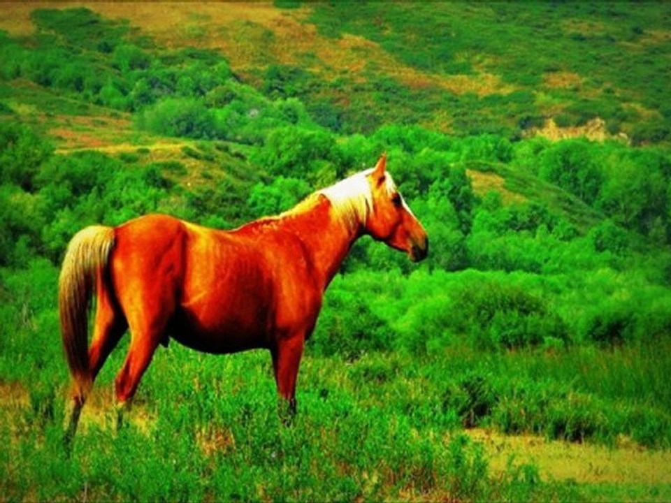 orta asya kırgızistan ve tanrı dağları seyahatimden.