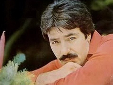 Ferdi Tayfur -Bilemezsin Sen(şiirli)