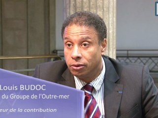 La valorisation de la forêt française. Contribution délég. Outre-mer du cese