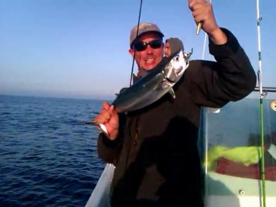 petite chasse de fin de journée