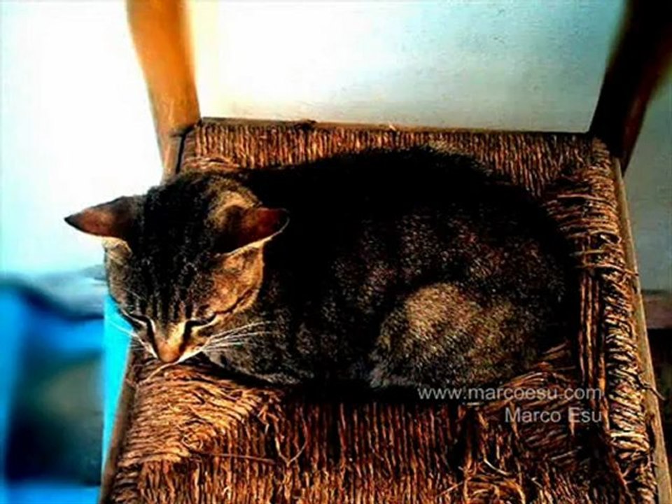 we folking by Esu 9 by Marco Esu