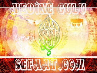 GEL GEL ALLAH'A KUL OLMAYA