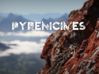Pyrénicimes 2012 - Festival Montagne et Escalade à Pibrac