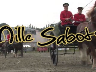 Mille Sabots 2012 à Lamballe, l'après midi.