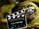 Las granhotas de Livinhac -les grenouilles & les copains d'accord's -
