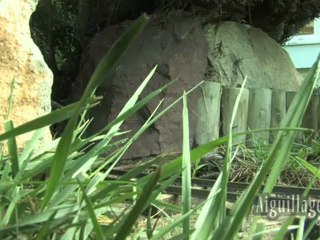 Les tramways d'André