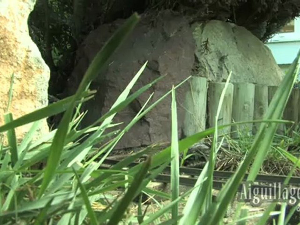 Les tramways d'André