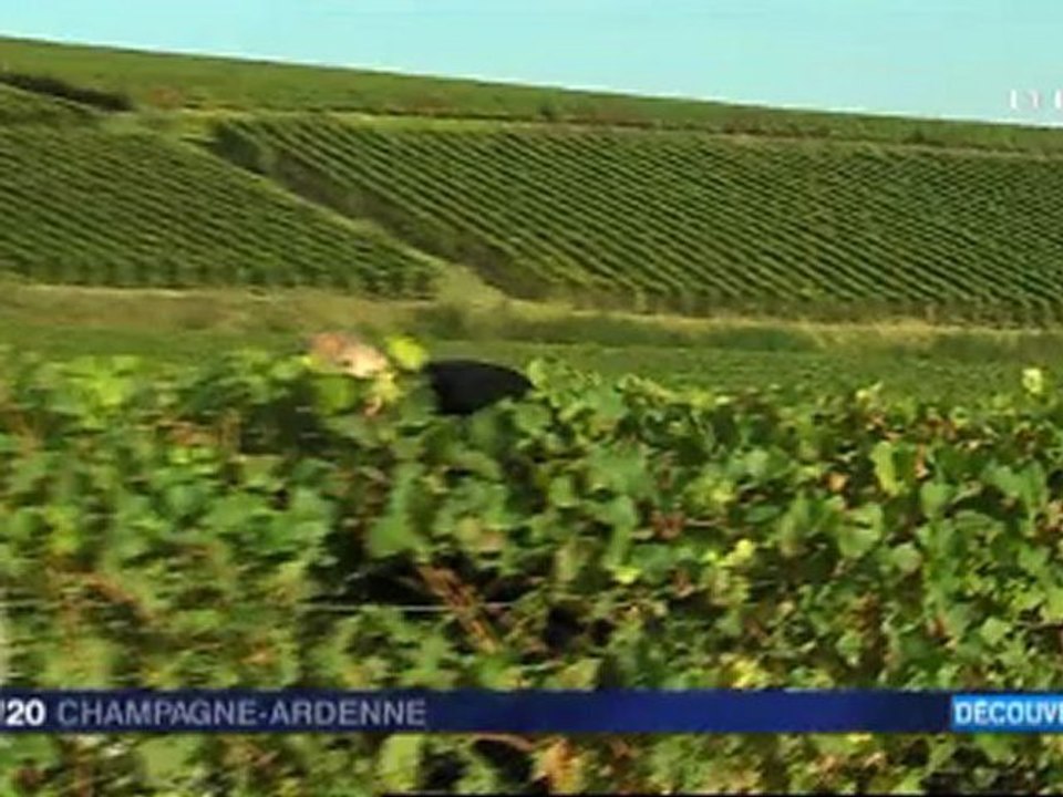 Les "Loges" ou "Cabanes" du vignoble Champenois.