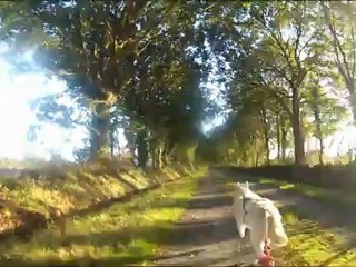 Félipé et Siska 1 entraînement vélo 1 chien