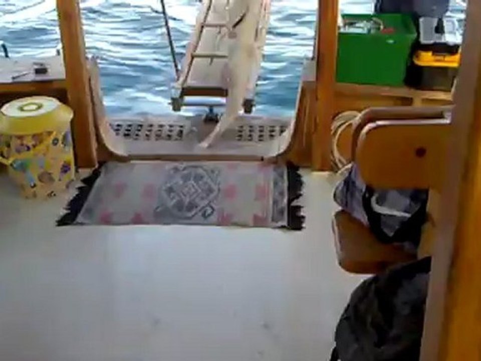 Kuşadası Balık Avı Yüce Tekne