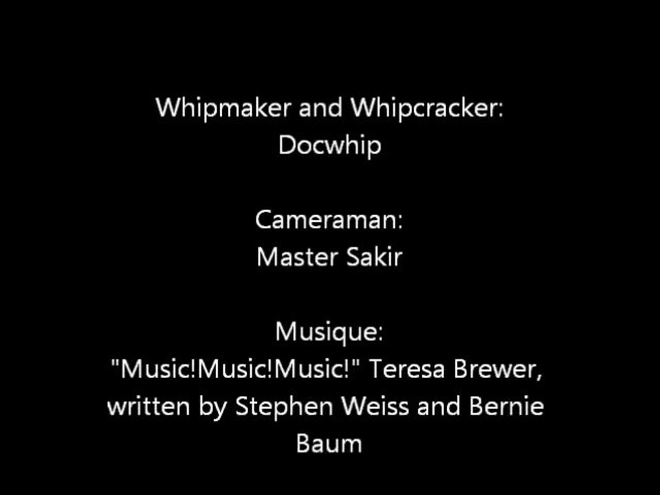 Whiptargeting with a 10ft indy cowhide bullwhip