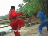Dephrok Martial Arts Pencak silat