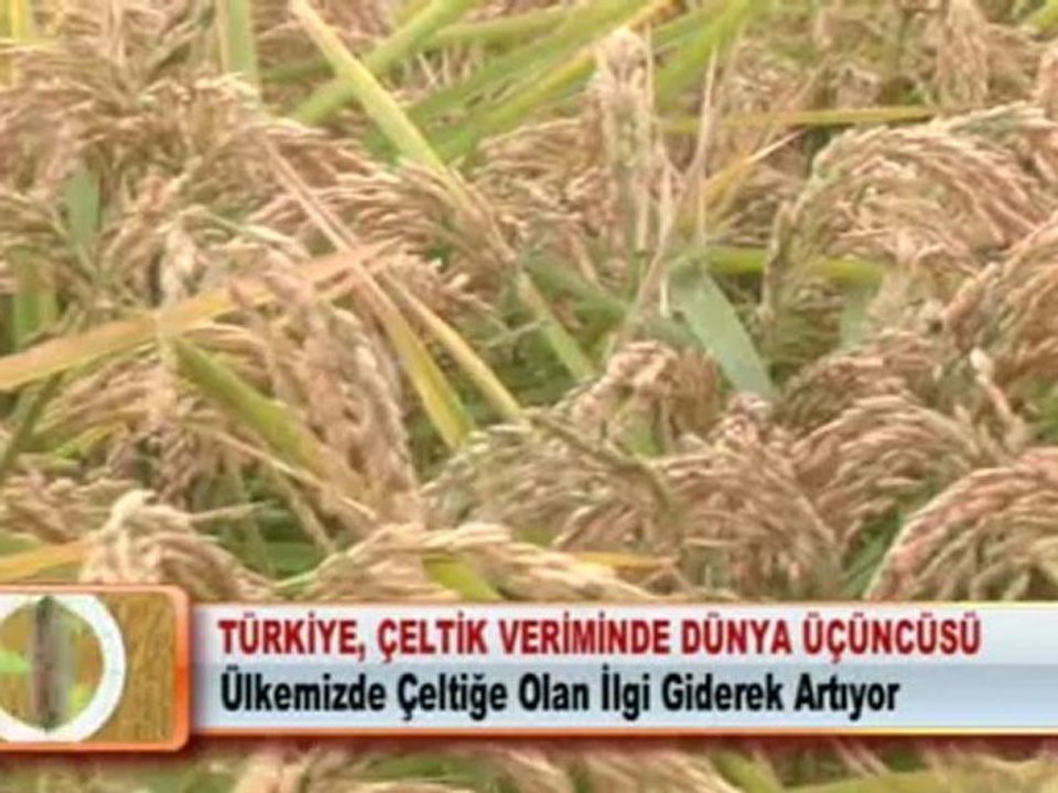 BURSA’DA 172 BİN HAYVANA ŞAP AŞISI YAPILACAK