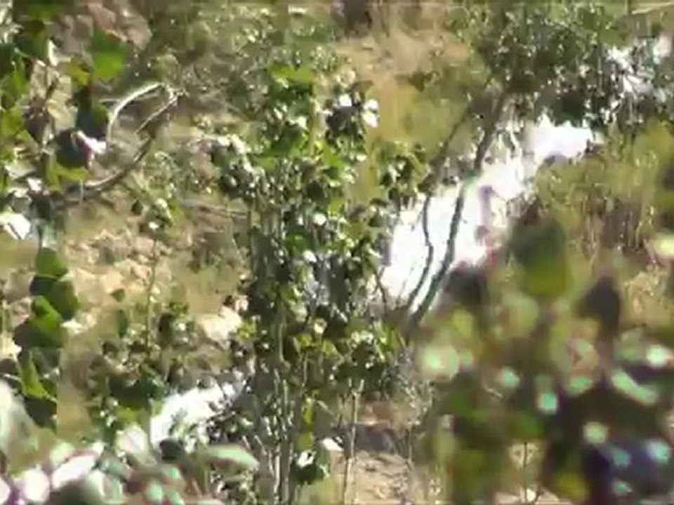 zağpa bayırköyü veyselgil asım üzümcü