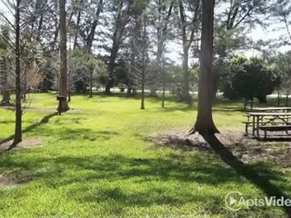 Harbor Inn Apartments in Coral Springs, FL - ForRent.com