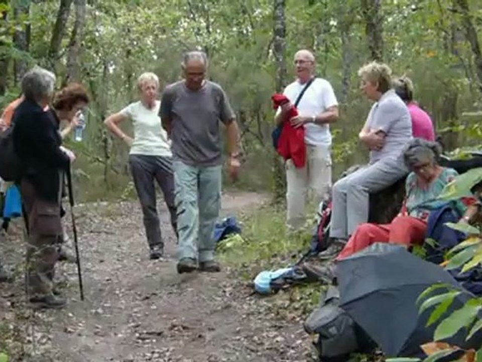 Dans la Forêt Royale