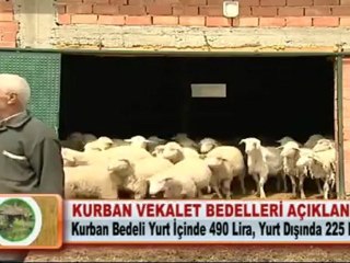 KURBAN VEKALET BEDELLERİ BELİRLENDİ