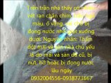 sua chua chong tham tai tphcm 0938773667