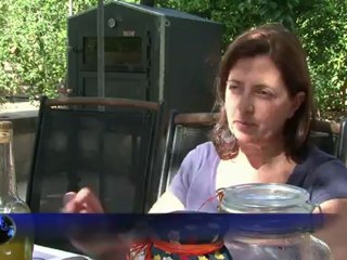 Oliveiras renascem em Malta