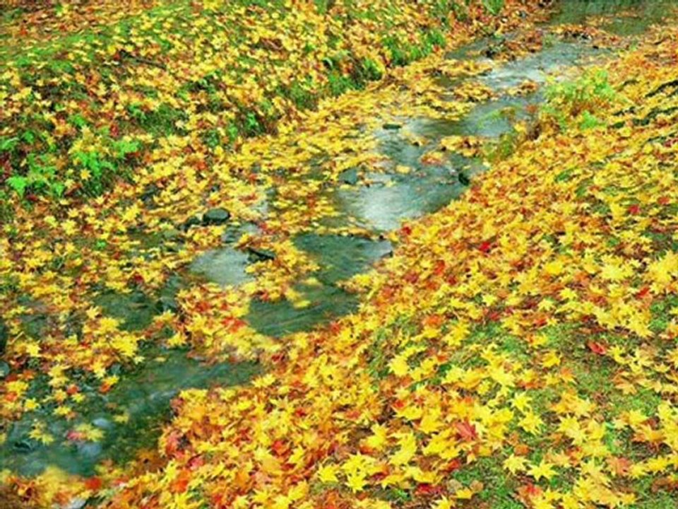 Huzur Veren Fon Müzik - YouTube Seslisehirli-SesliSehirli.com sohbeti,sesli,chat seslisohbet,seslisohbet, muhabet....