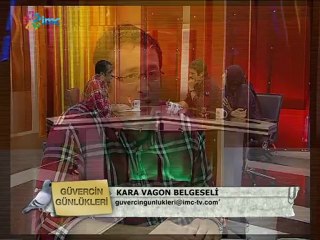 Güvercin Günlükleri (10.10.2012)