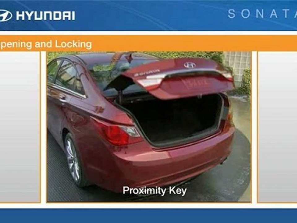 Sonata Cargo