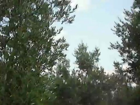 20 Temmuz 2012 Gemiç Köyü Resimleri (17)bahçe