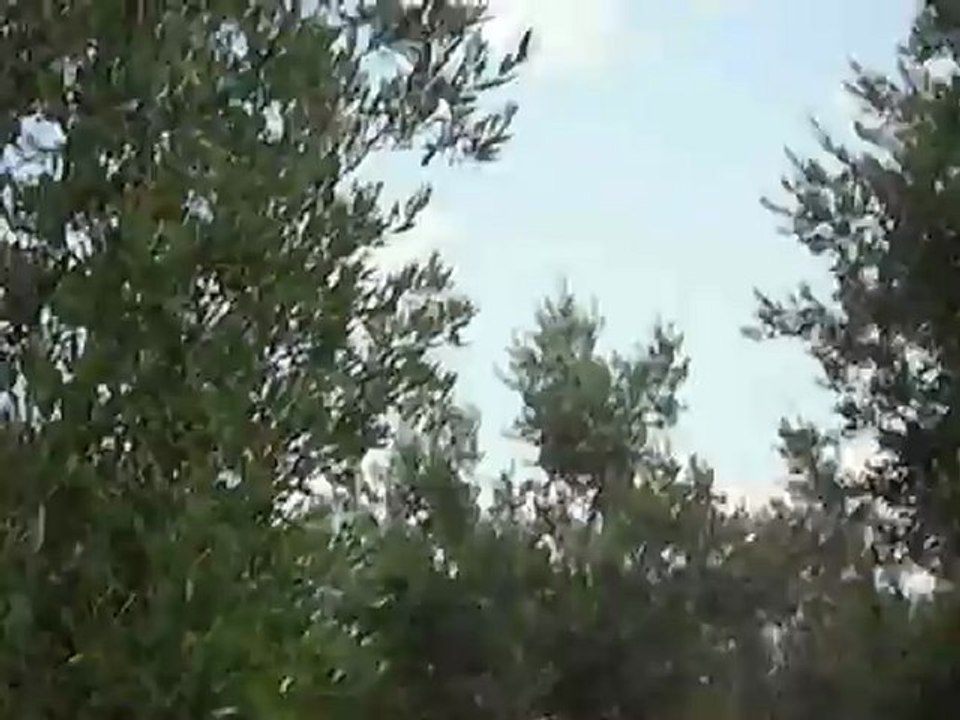 20 Temmuz 2012 Gemiç Köyü Resimleri (17)bahçe