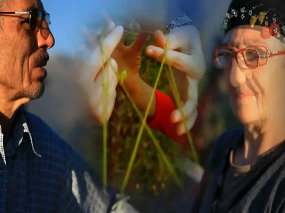 Salih Yılmaz - Yaylanın Çimenine