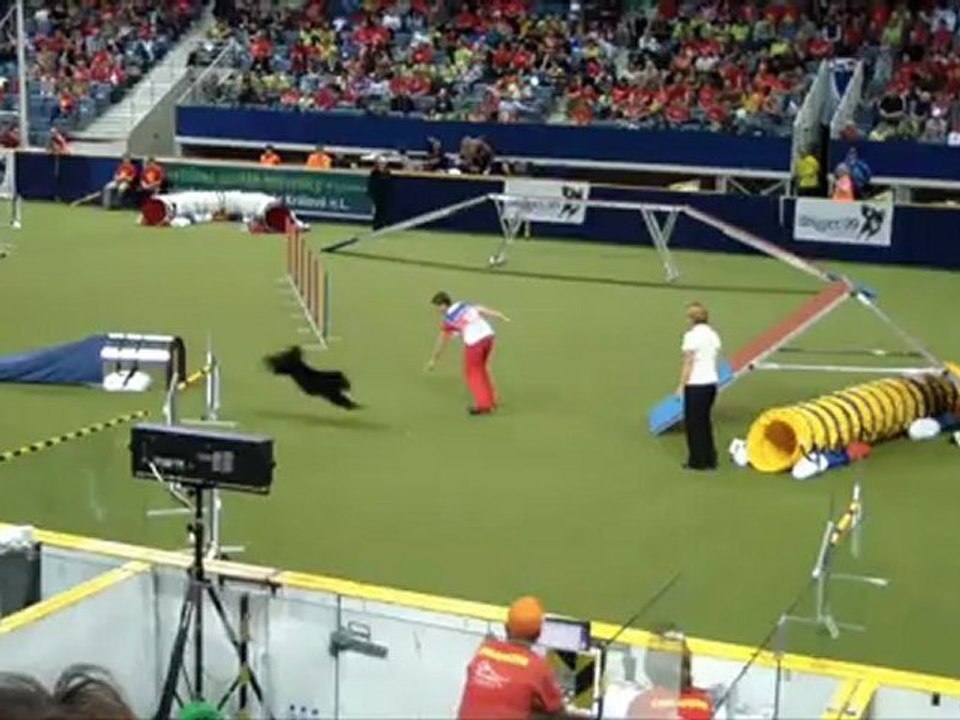 Croatians & Mudis WC Agility 2012