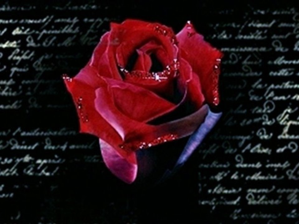 Silbermond - Ja [Official Lyrics Video _