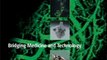 Medical Book Review: Biomedical Engineering: Bridging Medicine and Technology (Cambridge Texts in Biomedical Engineering) by W. Mark Saltzman