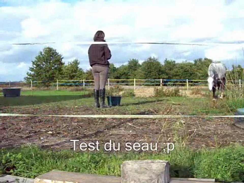 Seringua 4è séance