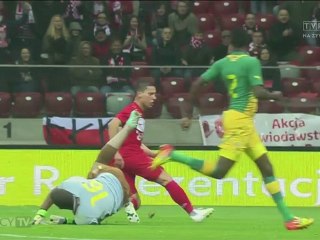 Niewykorzystana sytuacja Arka Piecha w meczu Polska - RPA