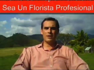 Monte Su Propia Floristeria Sea Un Florista Profesional
