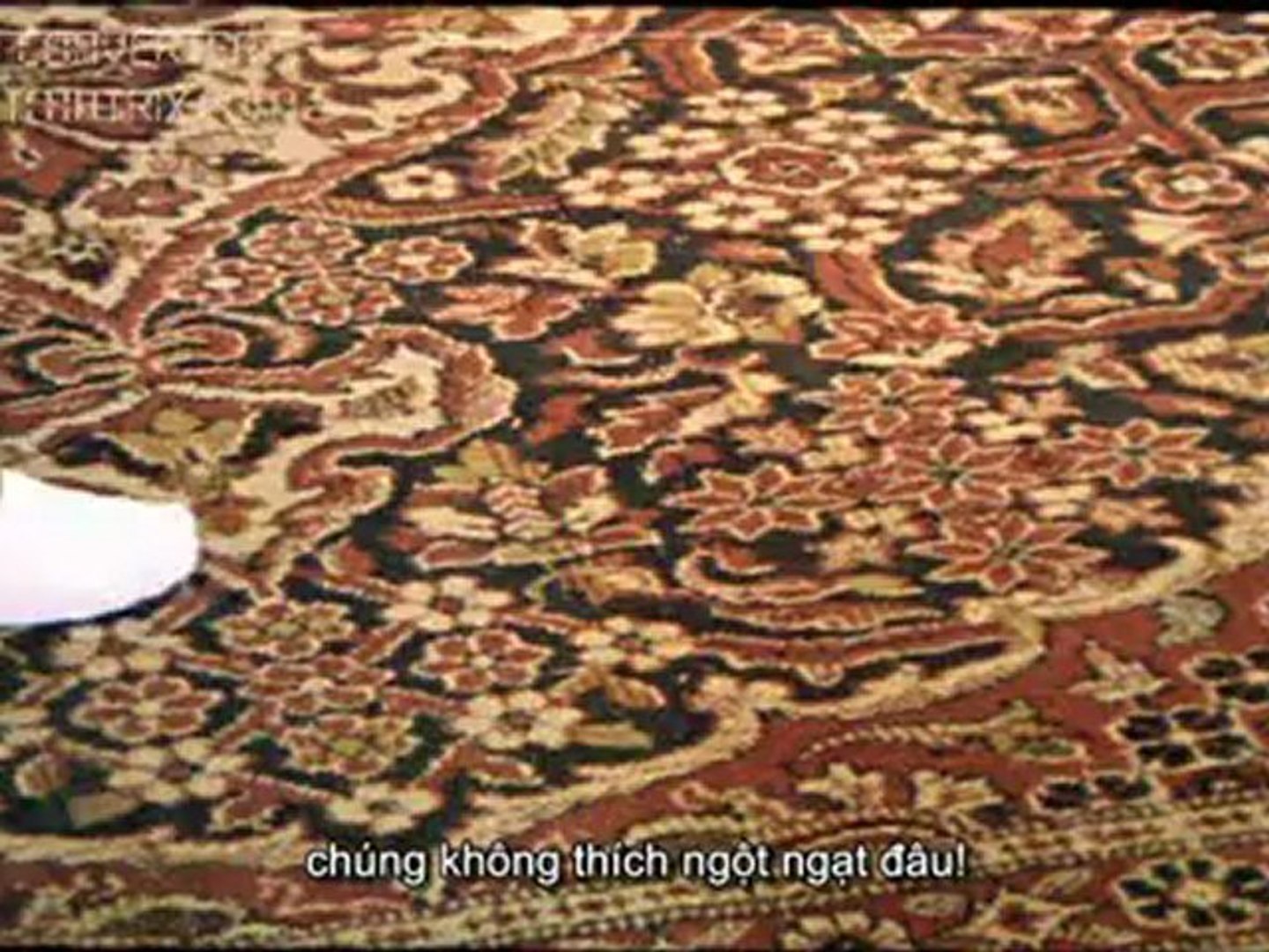 ⁣Eralash 002 - Phim hài thiếu nhi (Sub Viet)