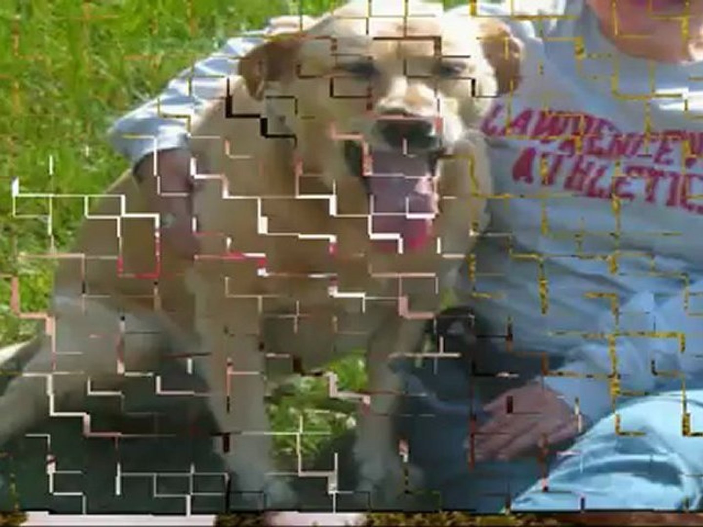 ⁣Eminent pet care and pet sitting service