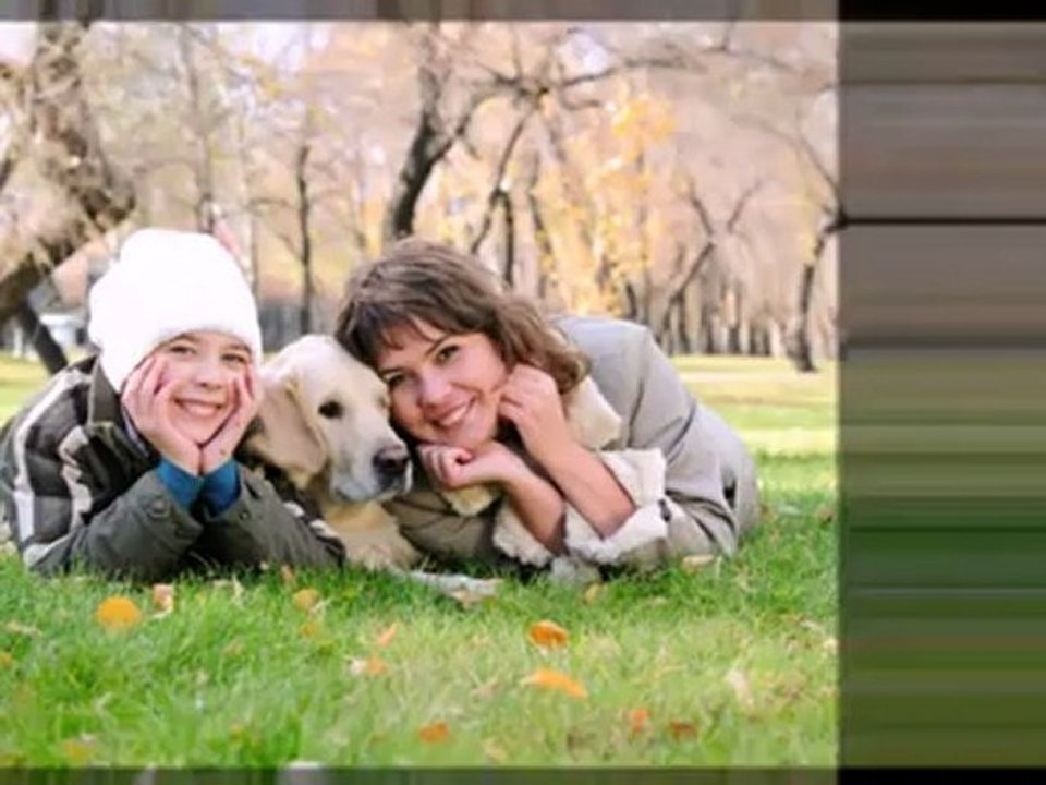 Pet Planning Attorneys in Indianapolis, IN