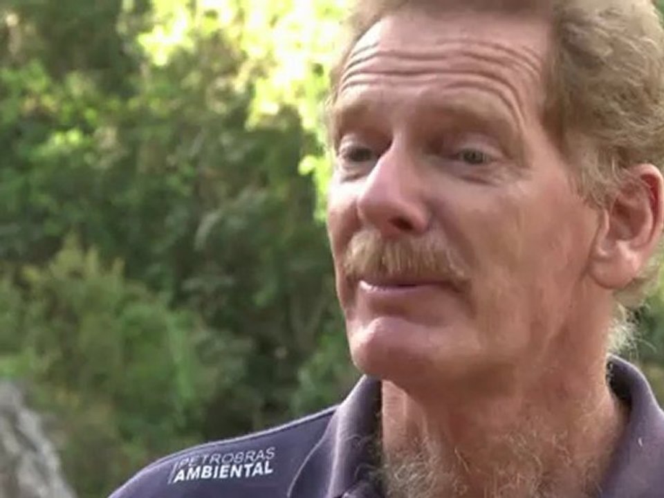 Himmelswasser aus den "fliegenden flüssen" von amazonien