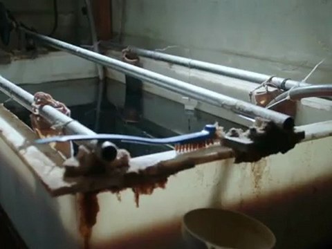 Trailer du Trophée de la Saison 2 - League of Legends