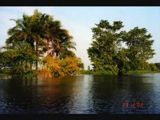 Godefroid Elongama (CBBWORLDTV) ses vidéos sur Dailymotion - Vidéo Dailymotion