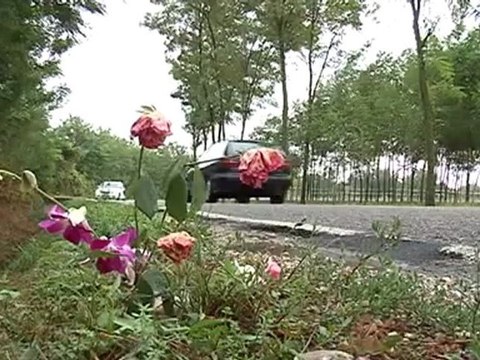 investe un operaio e scappa arrestato