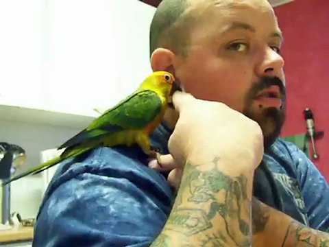 Photo 1059 tien mon oreille tequila