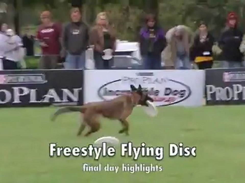 The Purina Incredible Dog Challenge