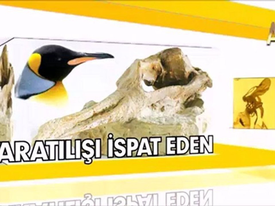 MİLYONLARCA YILDIR DEĞİŞMEYEN AKREPLER