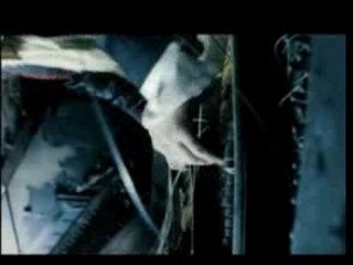 The White Stripes - Blue Orchid